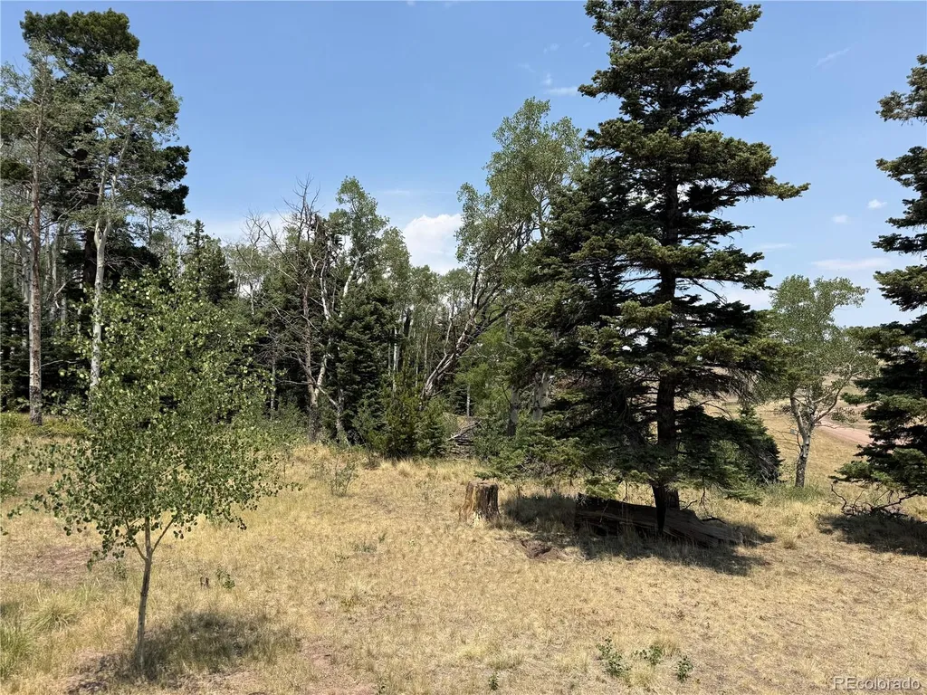 2357 Benton Place Fort Garland CO 81133