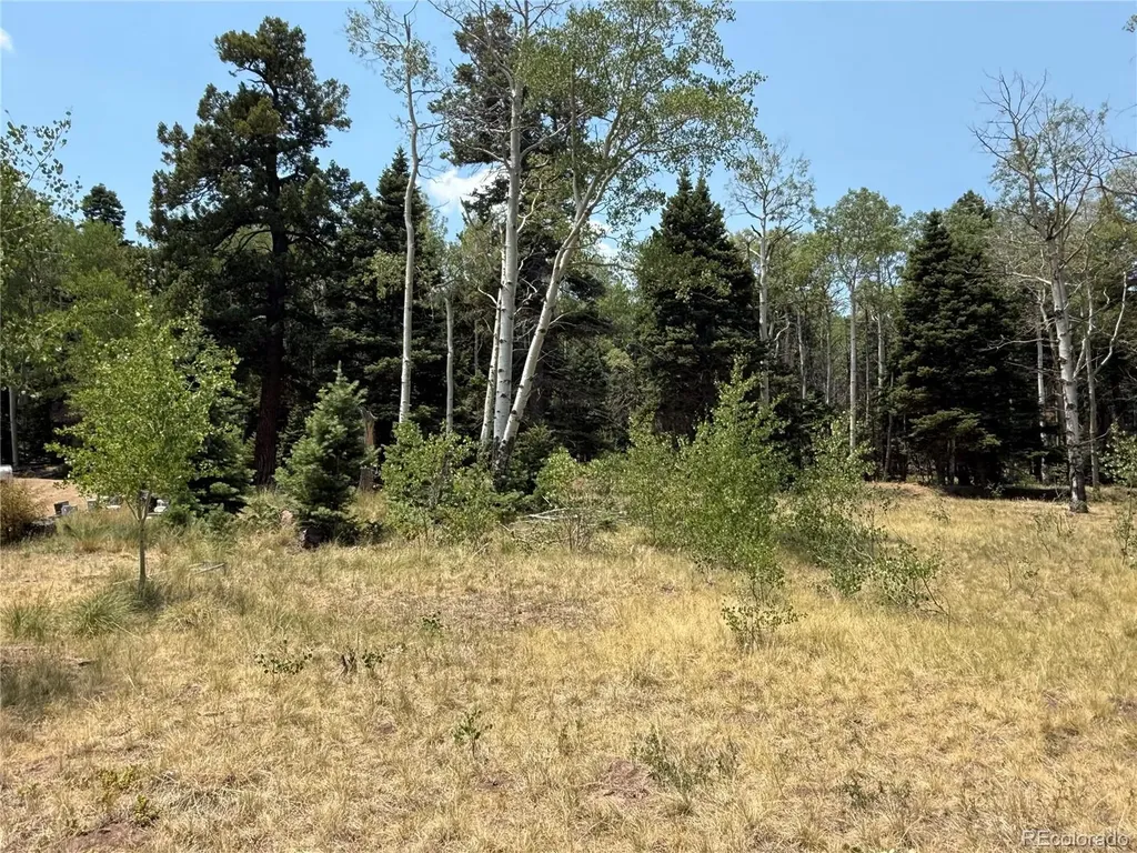 2357 Benton Place Fort Garland CO 81133