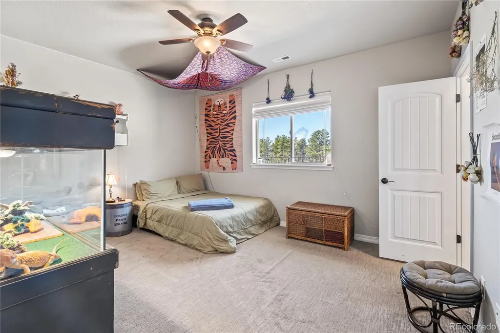 16231 Thunder Cat Way Monument CO 80132
