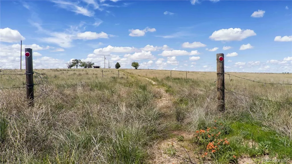 39320 Truckton Road Rush CO 80833