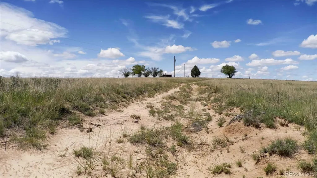 39320 Truckton Road Rush CO 80833