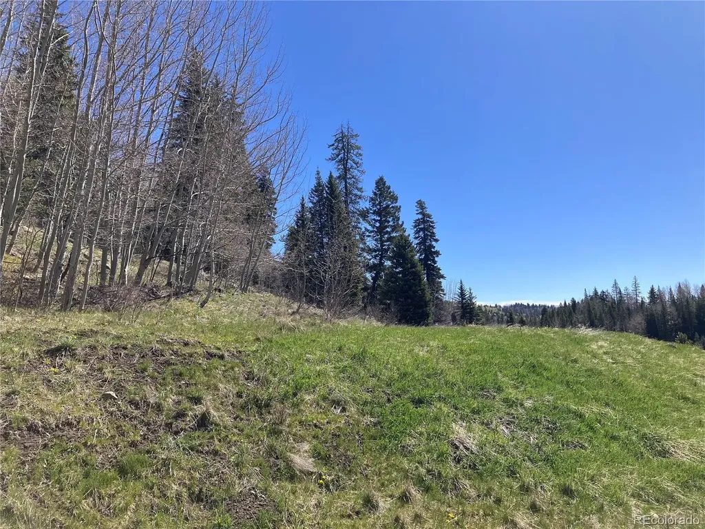 222 Lost Valley Drive Creede CO 81130