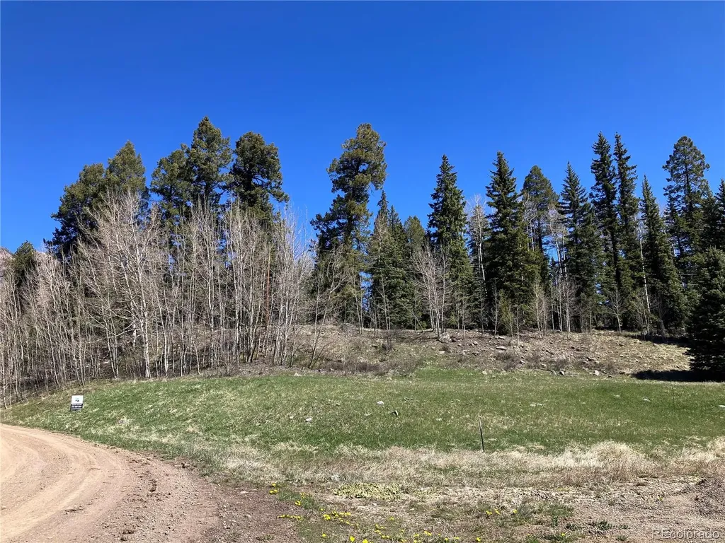222 Lost Valley Drive Creede CO 81130