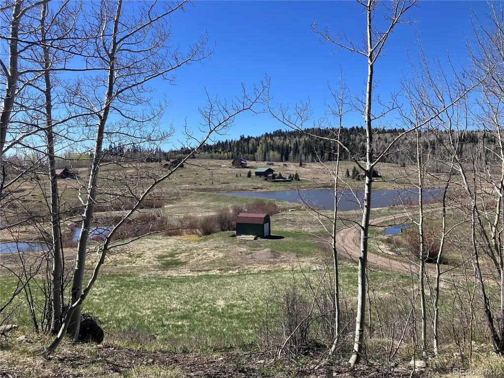 222 Lost Valley Drive Creede CO 81130