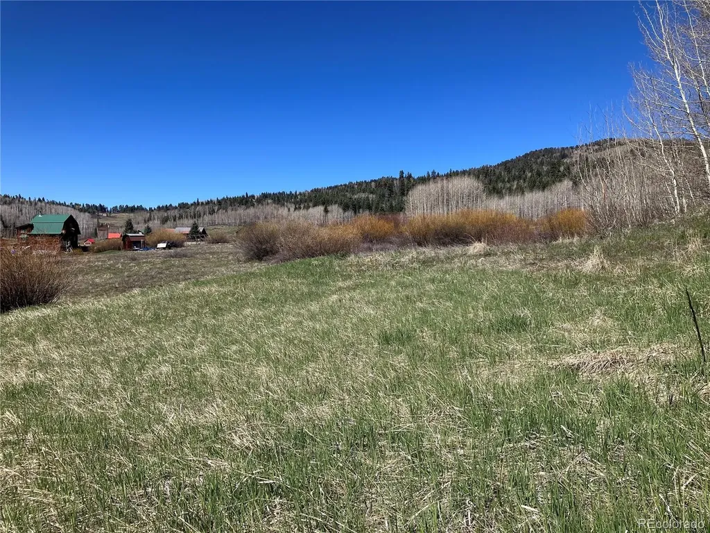 222 Lost Valley Drive Creede CO 81130