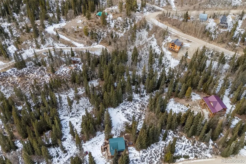 131 Aspen Street Alma CO 80420
