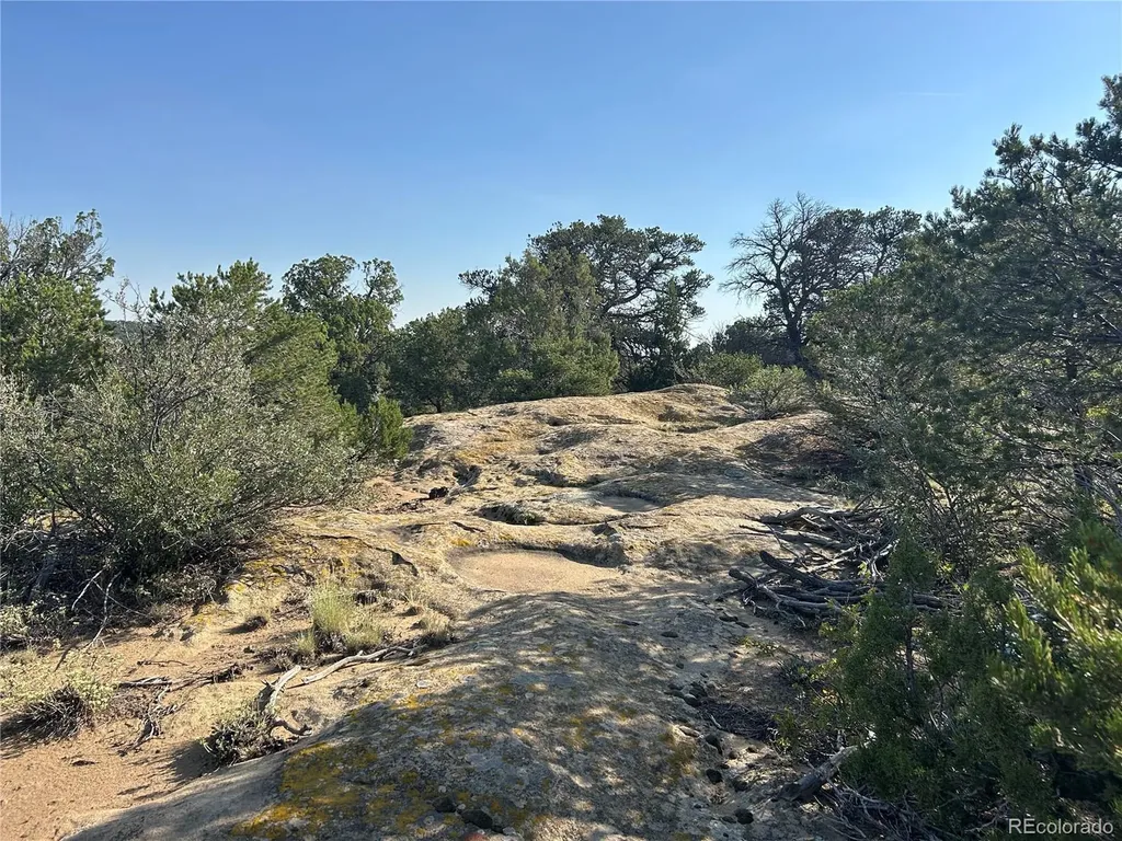 Lot 905 Rio Cucharas Phs 3 Walsenburg CO 81089