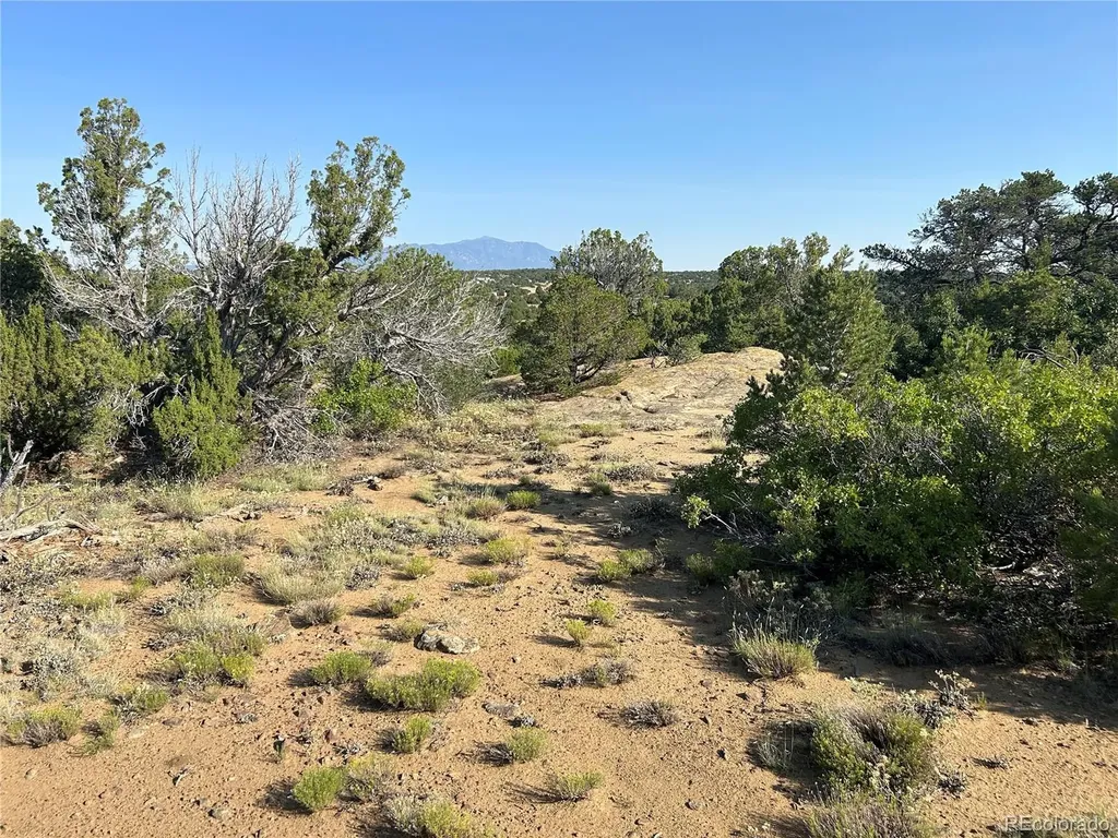 Lot 905 Rio Cucharas Phs 3 Walsenburg CO 81089