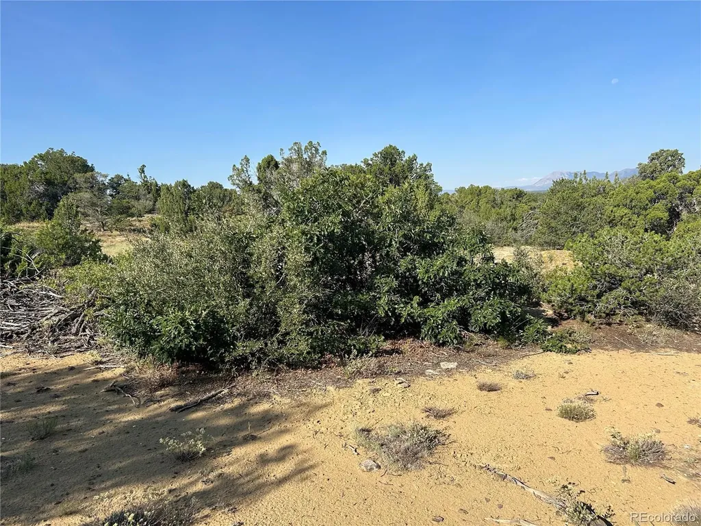 Lot 905 Rio Cucharas Phs 3 Walsenburg CO 81089