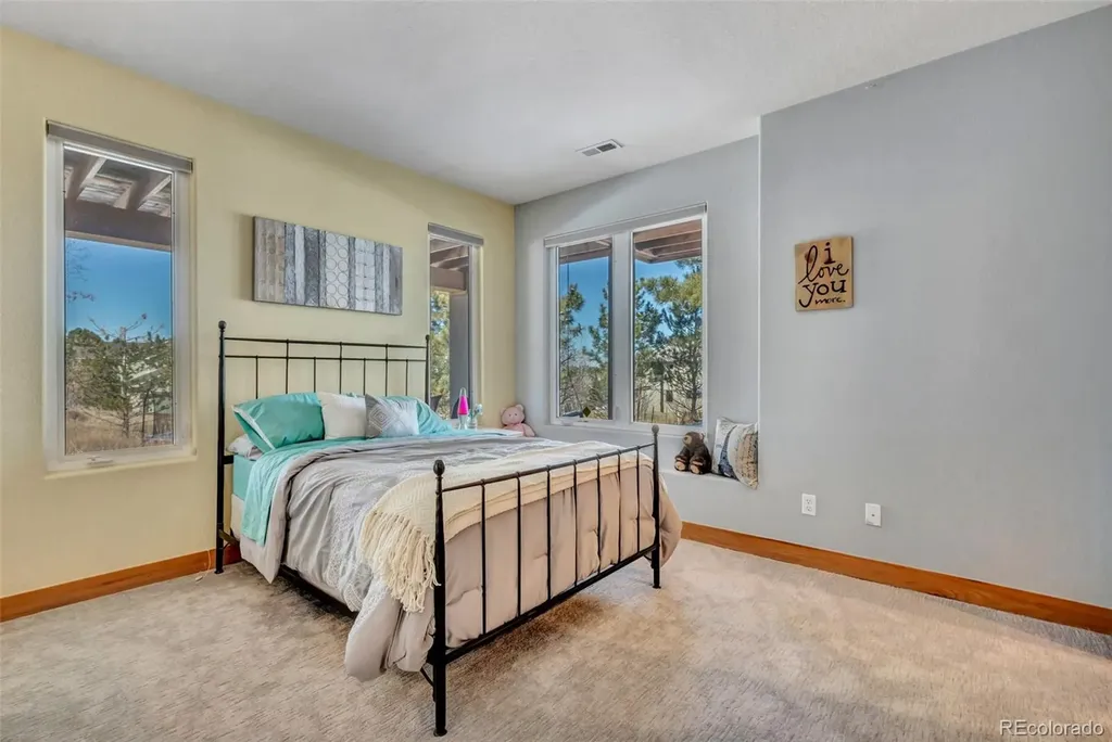5651 Silver Bluff Court Parker CO 80134
