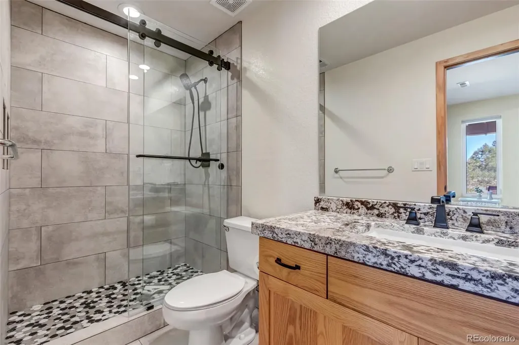5651 Silver Bluff Court Parker CO 80134