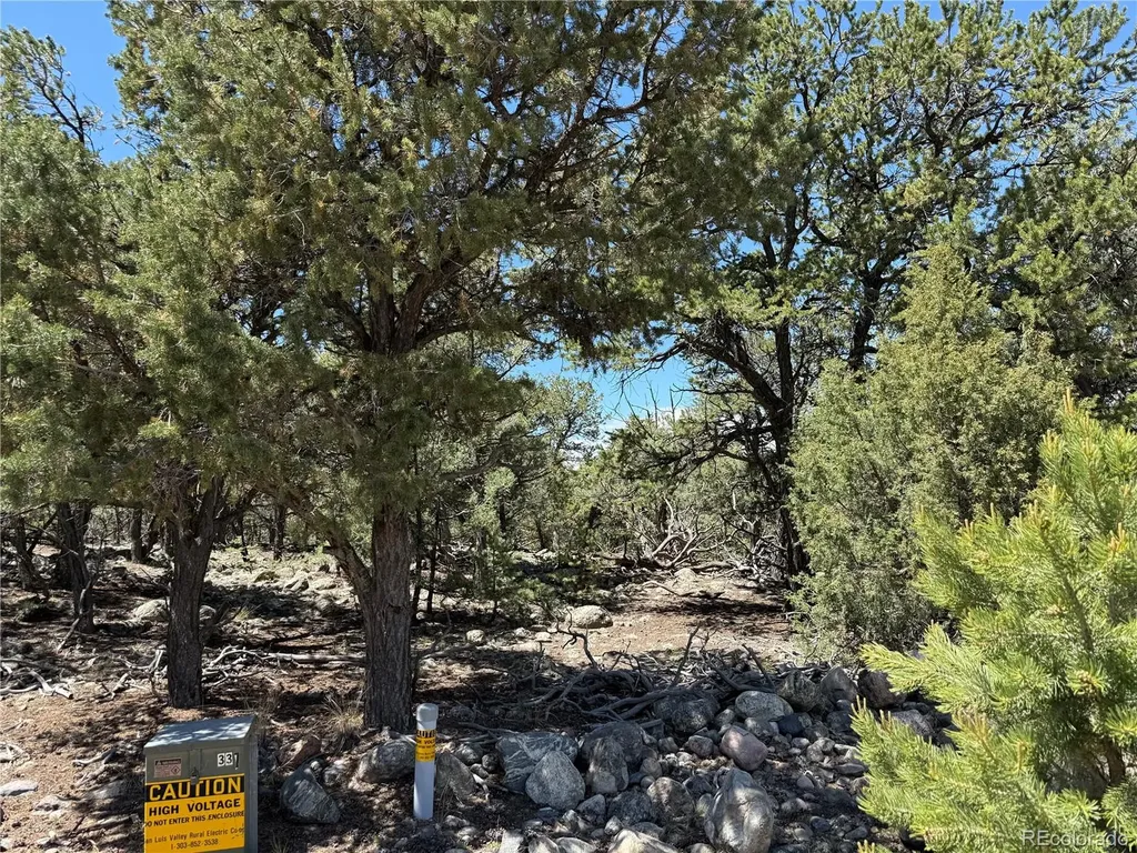 2150 Indian Wells Way Crestone CO 81131