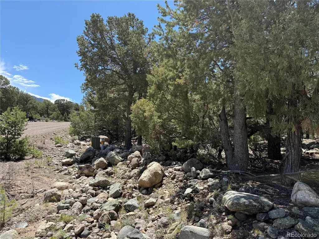 2150 Indian Wells Way Crestone CO 81131