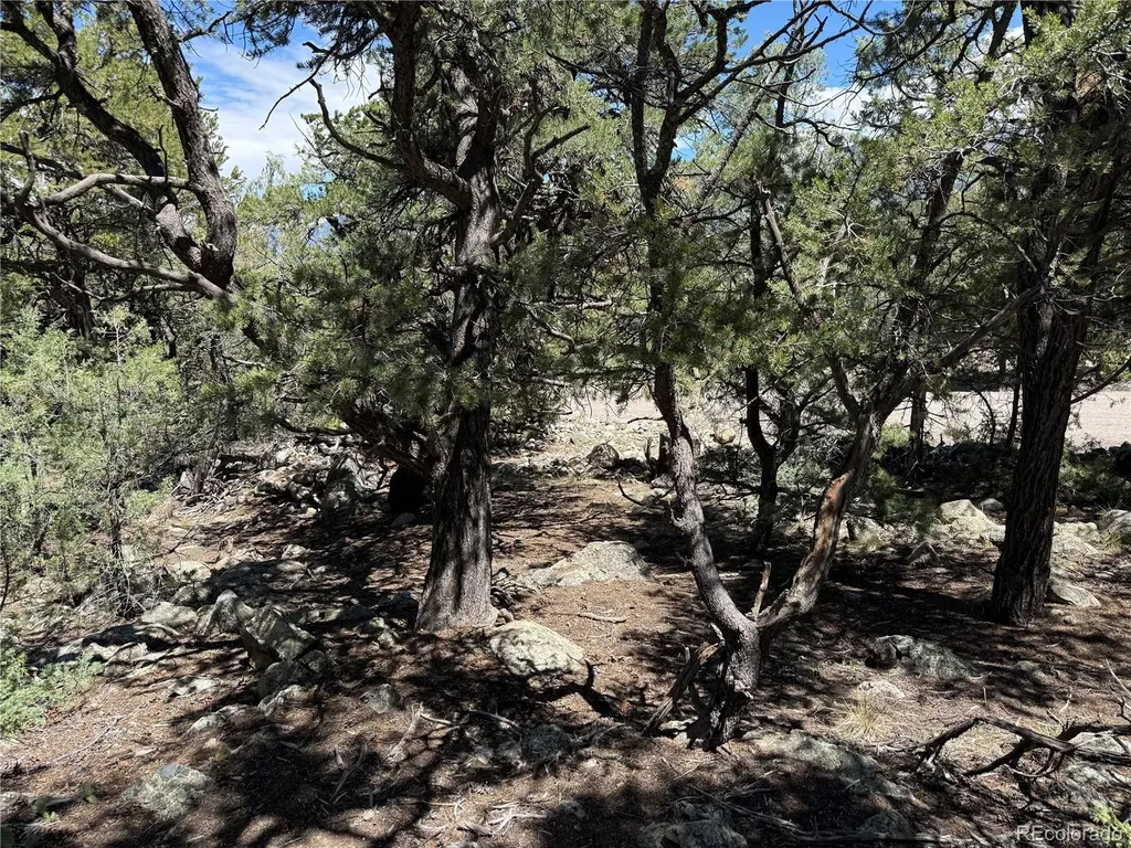 2150 Indian Wells Way Crestone CO 81131