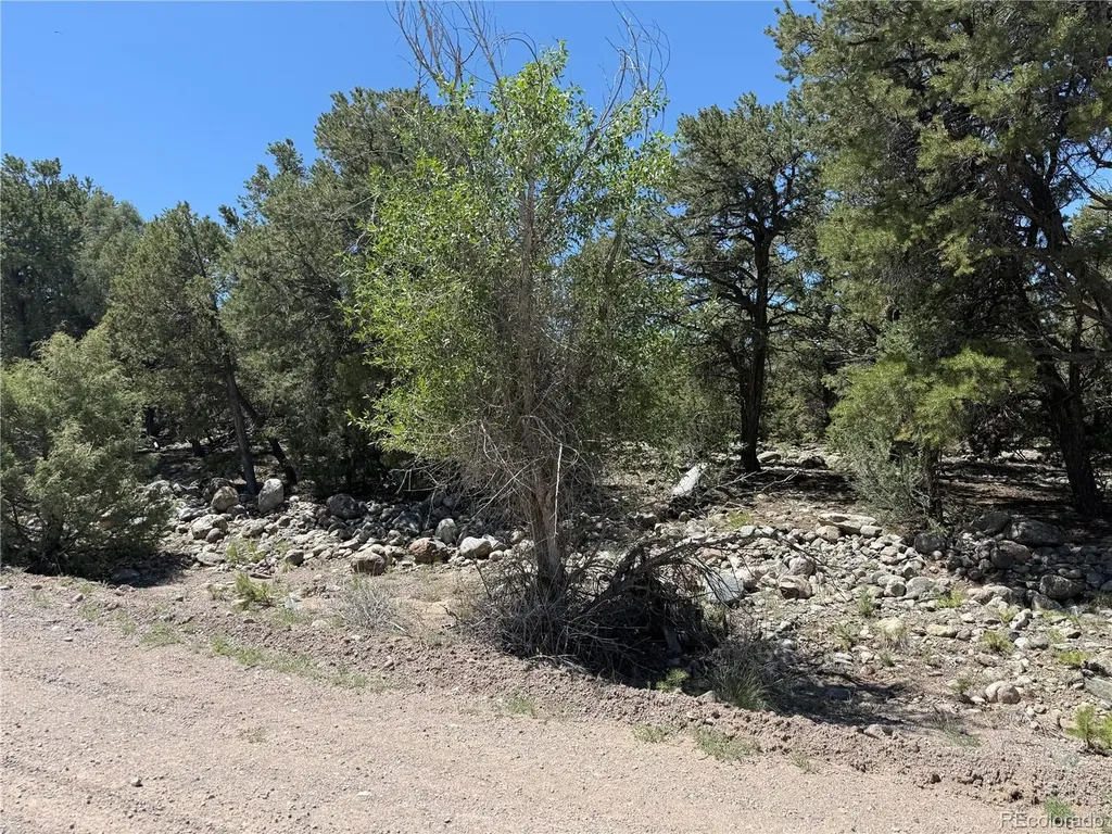 2150 Indian Well Way Crestone CO 81131