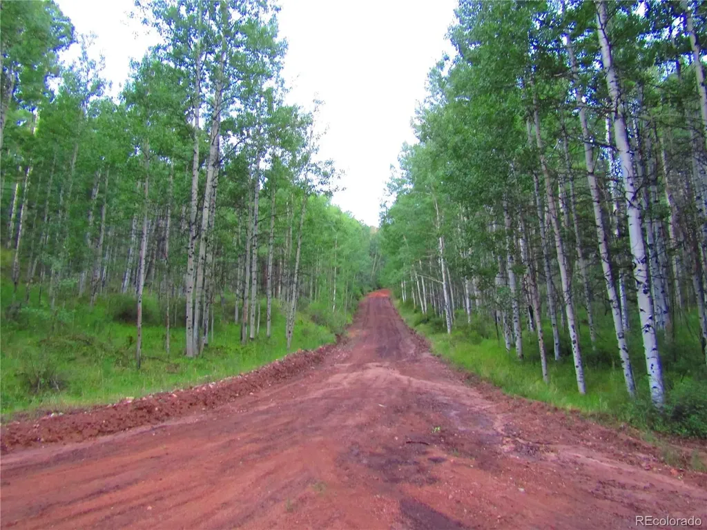 Lot 6324 Barbara Road San Luis CO 81152