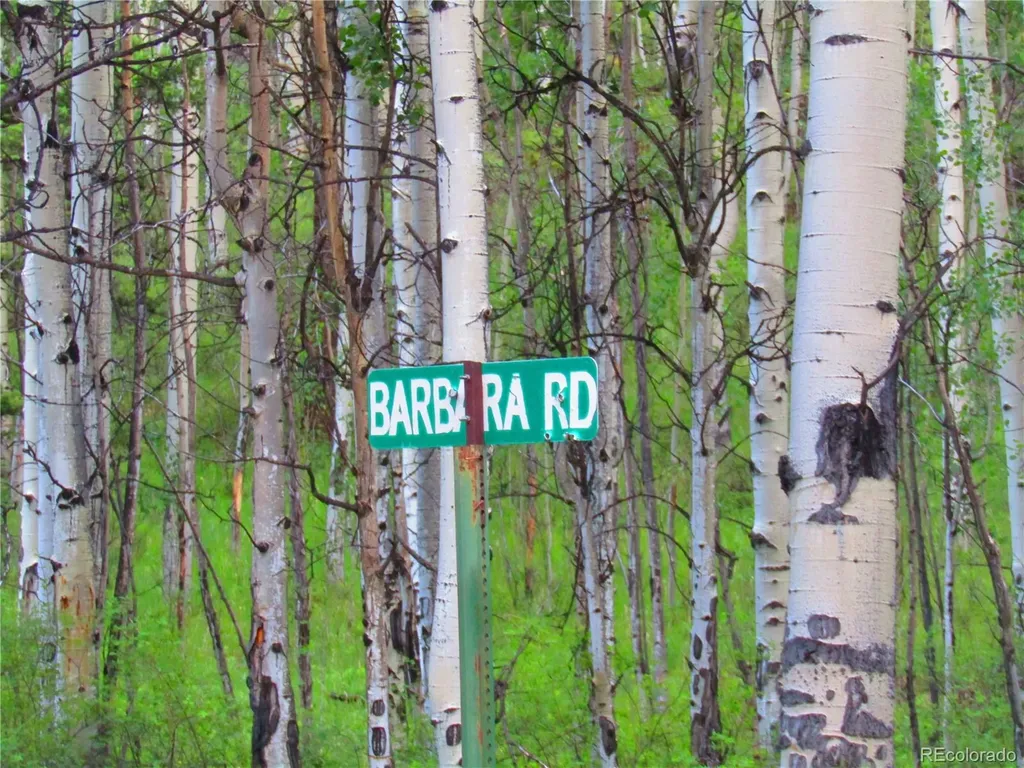 Lot 6324 Barbara Road San Luis CO 81152