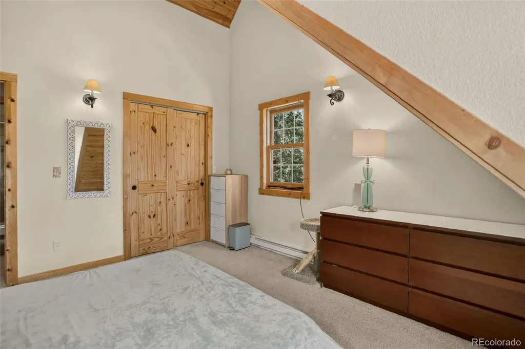 12090 Tecumseh Trail Conifer CO 80433