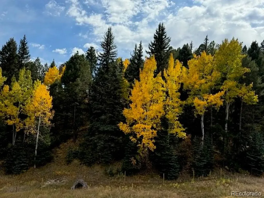 12090 Tecumseh Trail Conifer CO 80433