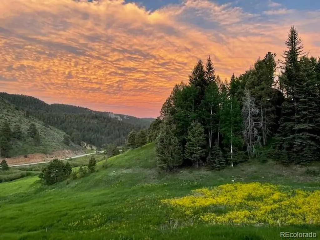 12090 Tecumseh Trail Conifer CO 80433