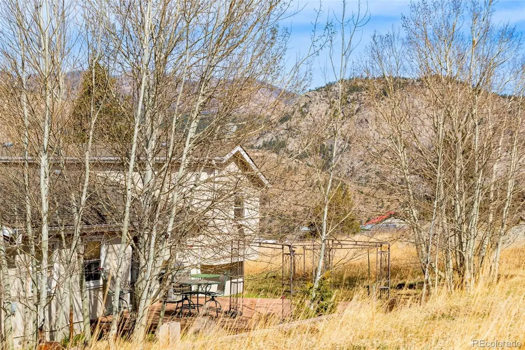 759 Palisade Mountain Drive Drake CO 80515