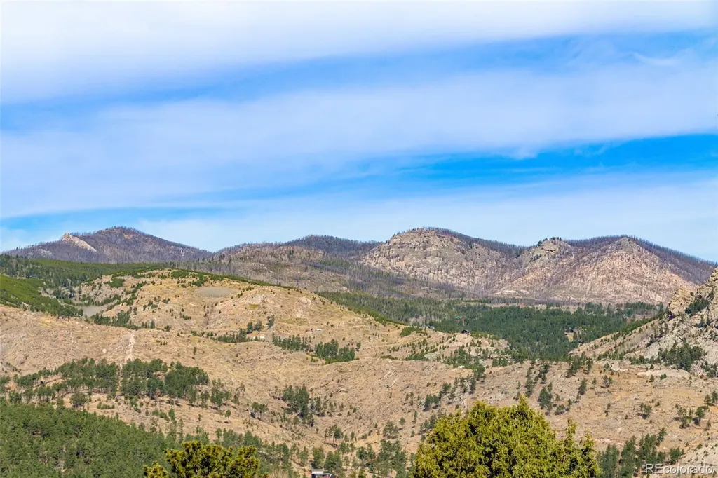 759 Palisade Mountain Drive Drake CO 80515