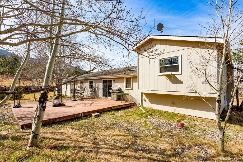 759 Palisade Mountain Drive Drake CO 80515