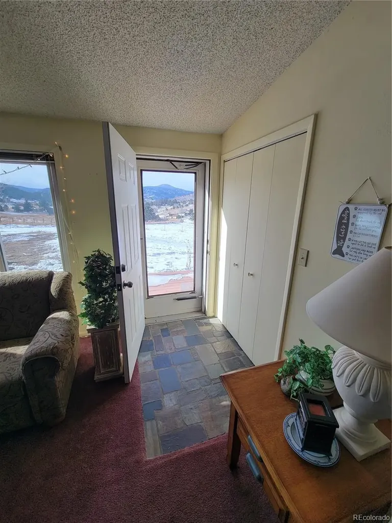 759 Palisade Mountain Drive Drake CO 80515