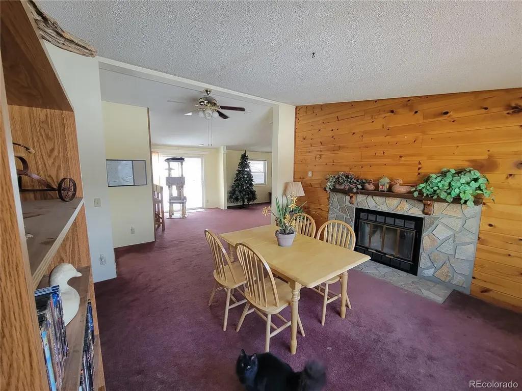 759 Palisade Mountain Drive Drake CO 80515