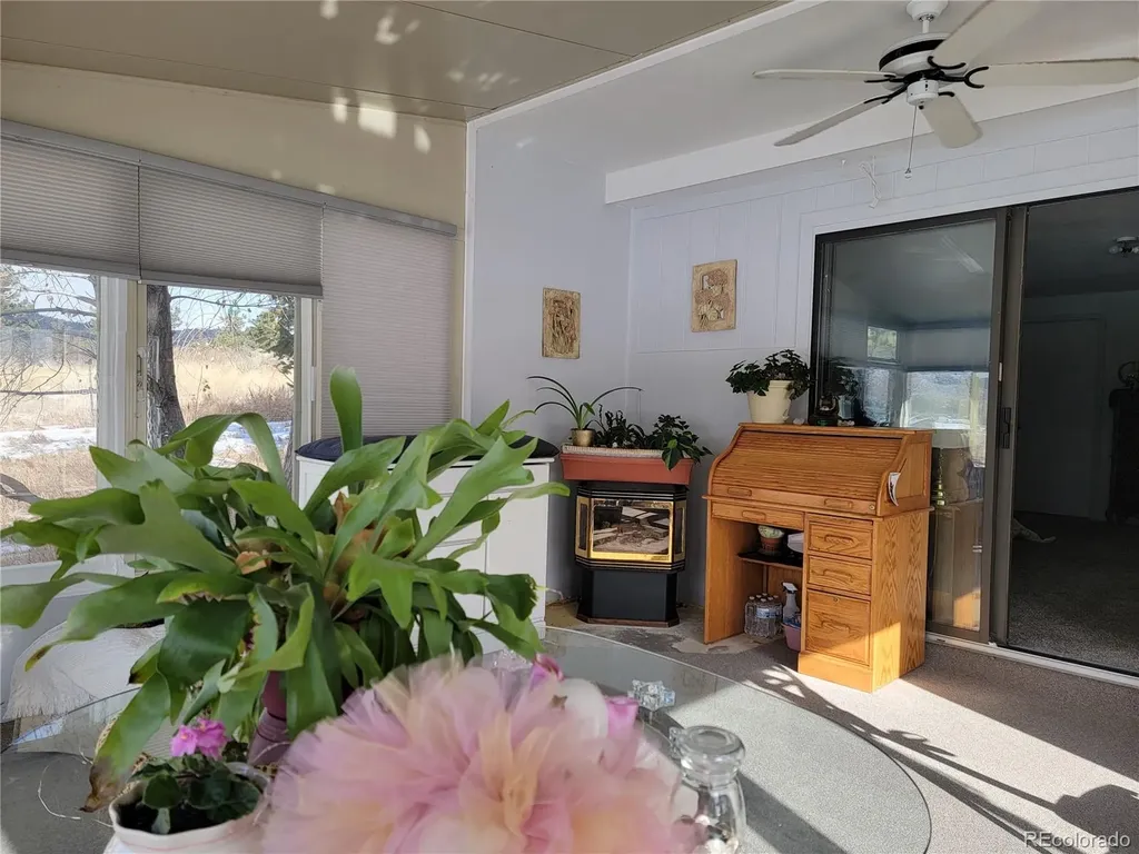 759 Palisade Mountain Drive Drake CO 80515