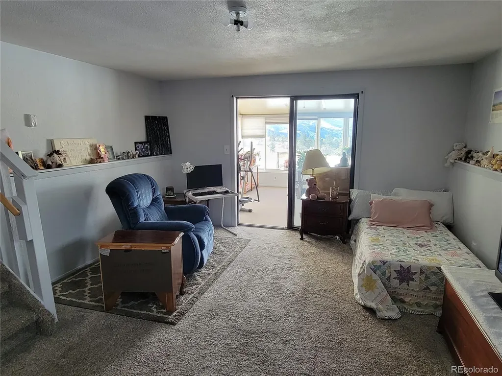 759 Palisade Mountain Drive Drake CO 80515