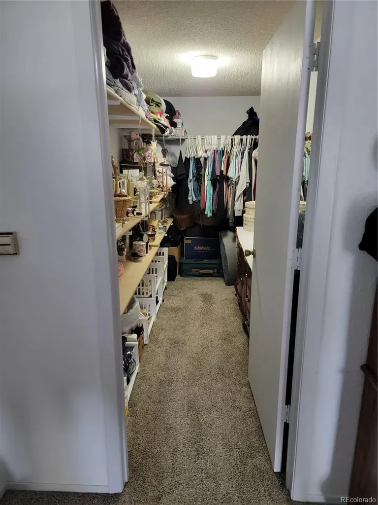 759 Palisade Mountain Drive Drake CO 80515