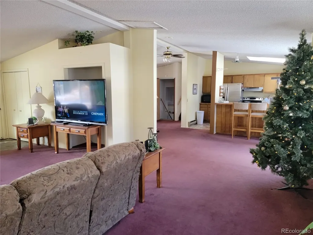 759 Palisade Mountain Drive Drake CO 80515
