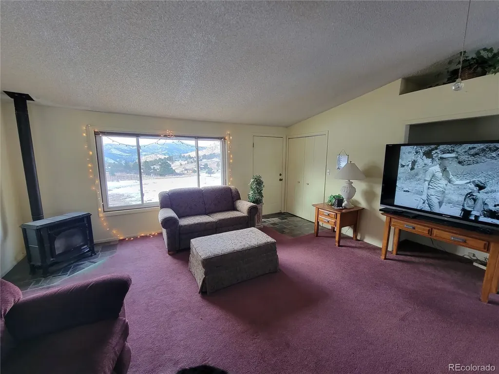 759 Palisade Mountain Drive Drake CO 80515