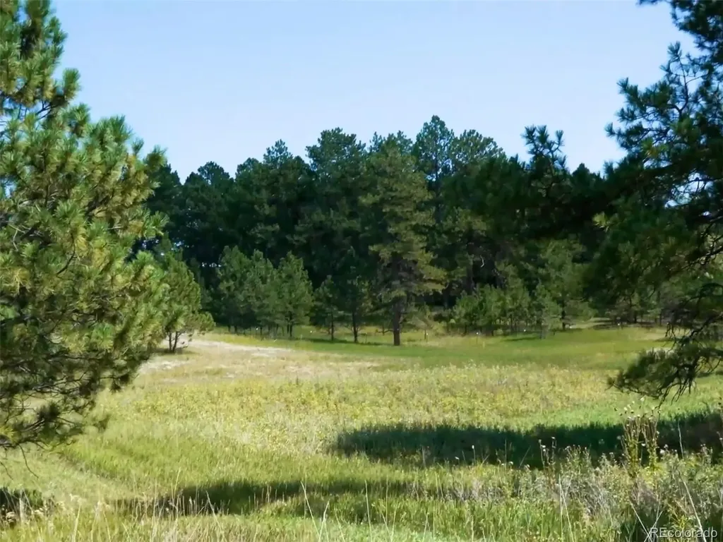 1133 Tomichi Drive Franktown CO 80116