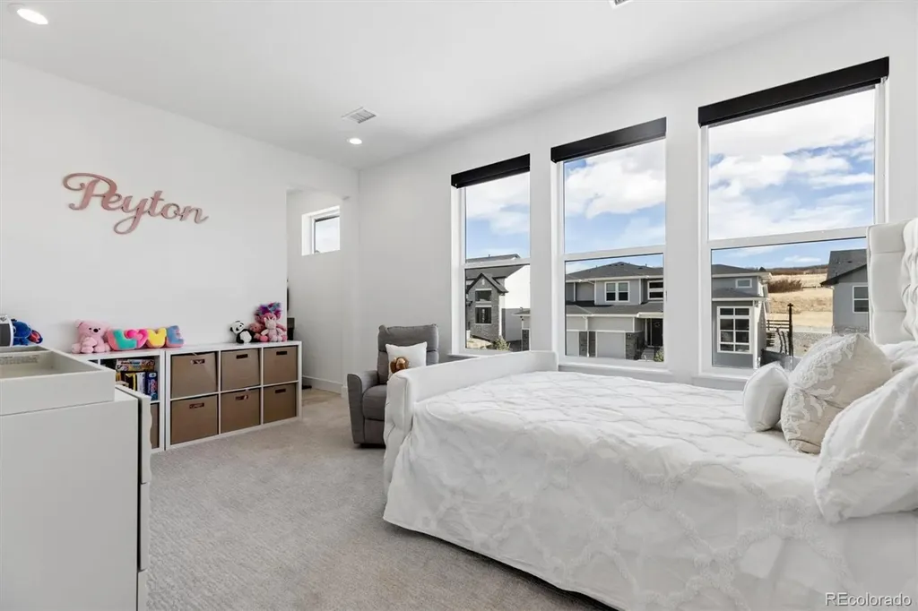 5423 Brotherton Court Castle Rock CO 80104