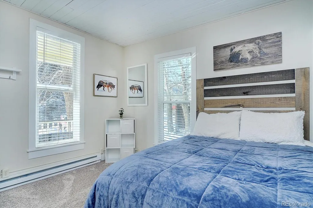 129 Lang Street Twin Lakes CO 81251