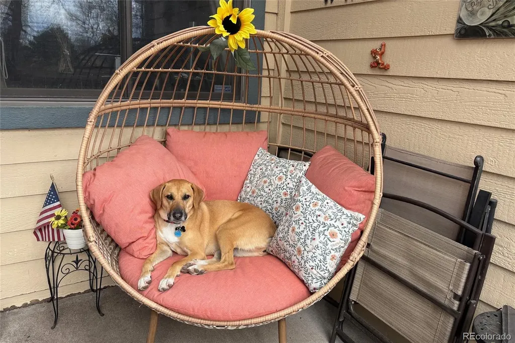 8791 Allison Drive Arvada CO 80005