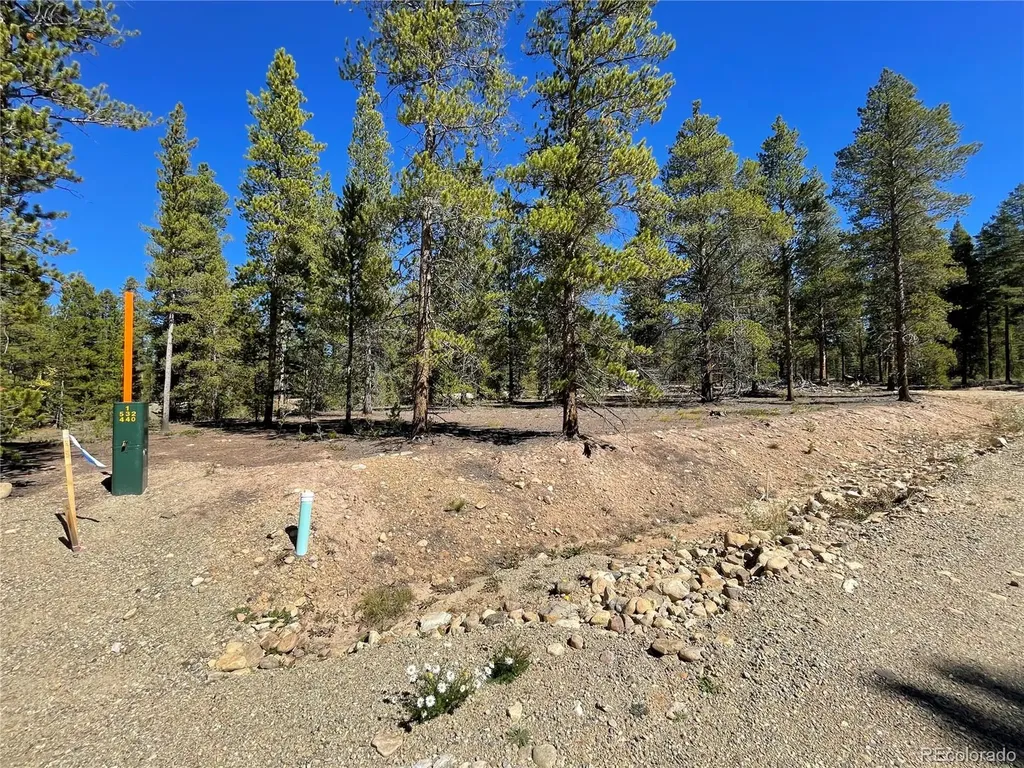 100 Virginia Avenue Leadville CO 80461