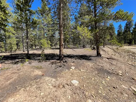100 Virginia Avenue Leadville CO 80461