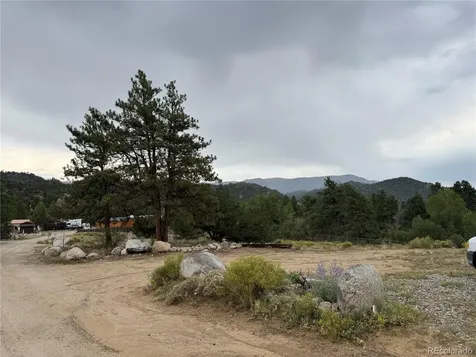 10795 County Road 197a Nathrop CO 81236