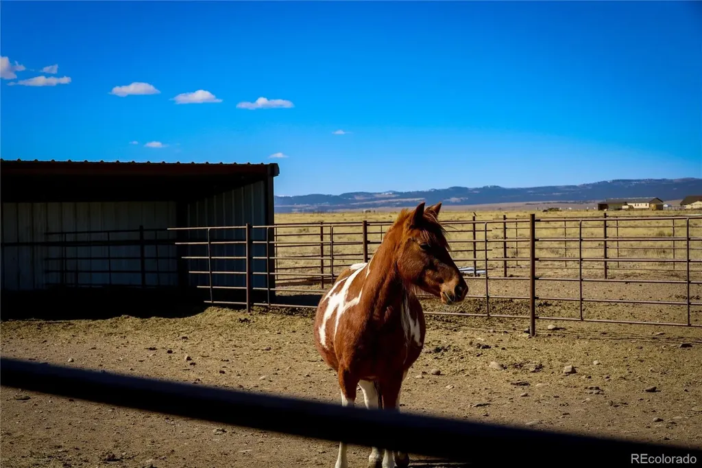 6729 County Road Dd.5 La Jara CO 81140