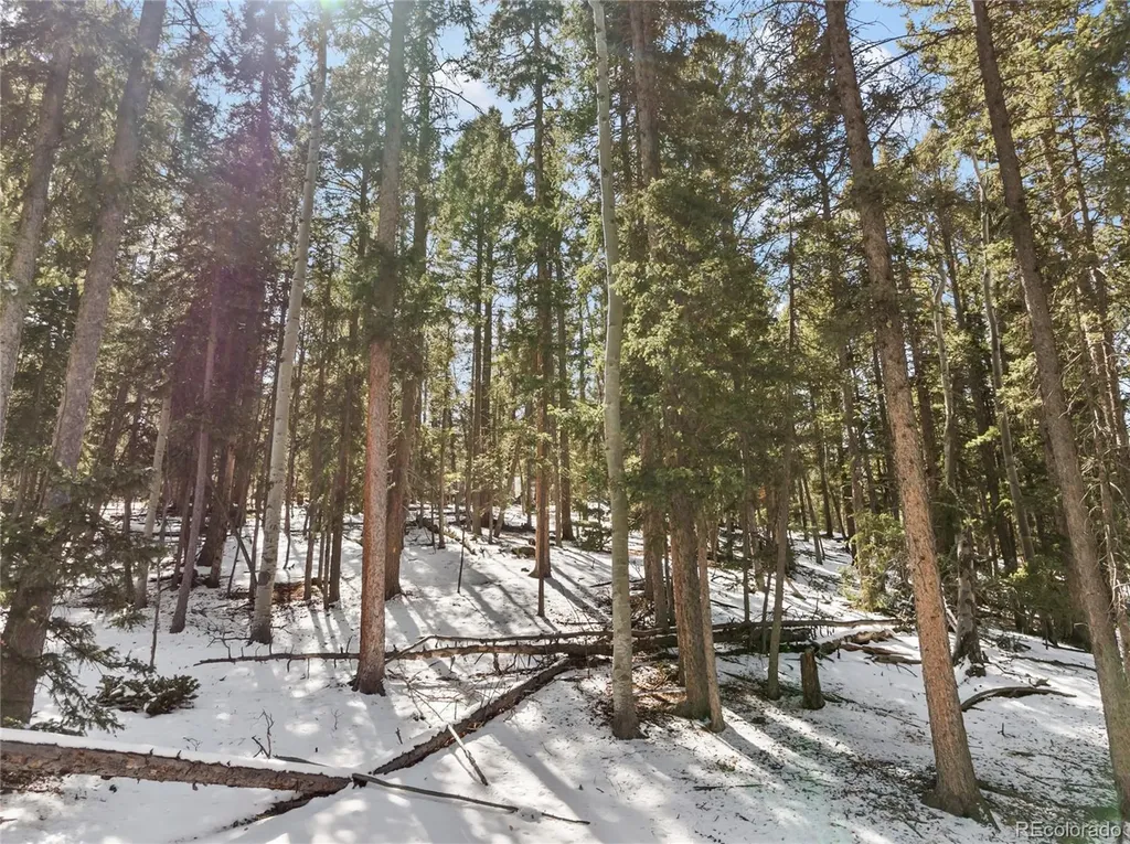 358 Pawutsy Road Florissant CO 80816