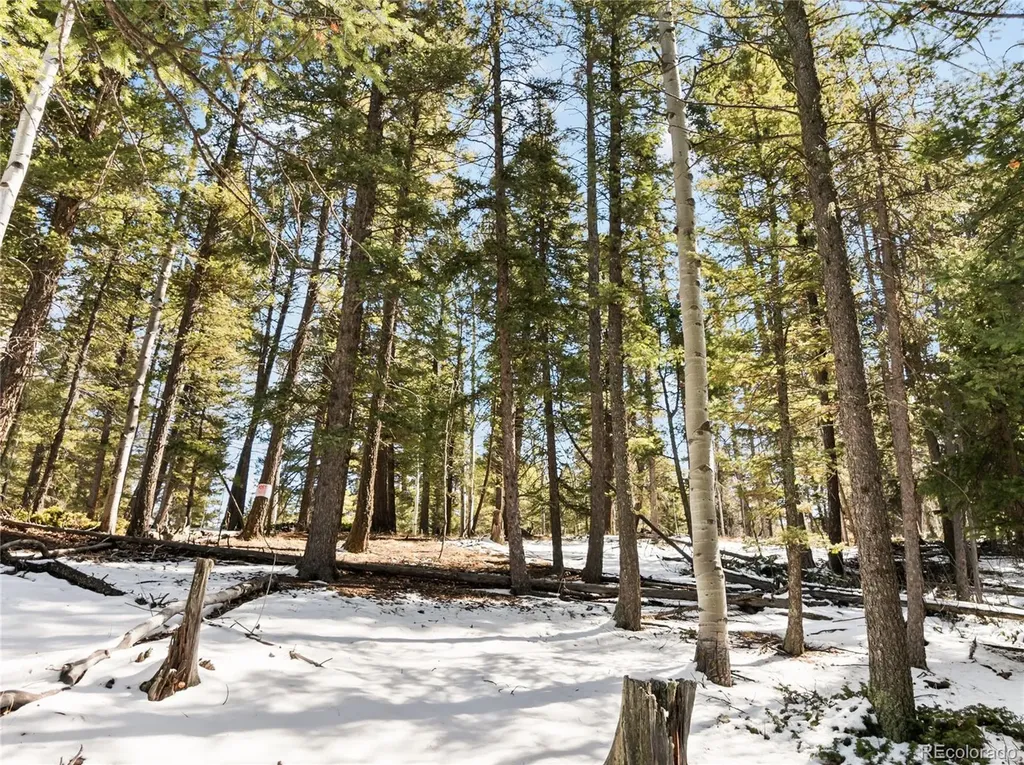 358 Pawutsy Road Florissant CO 80816