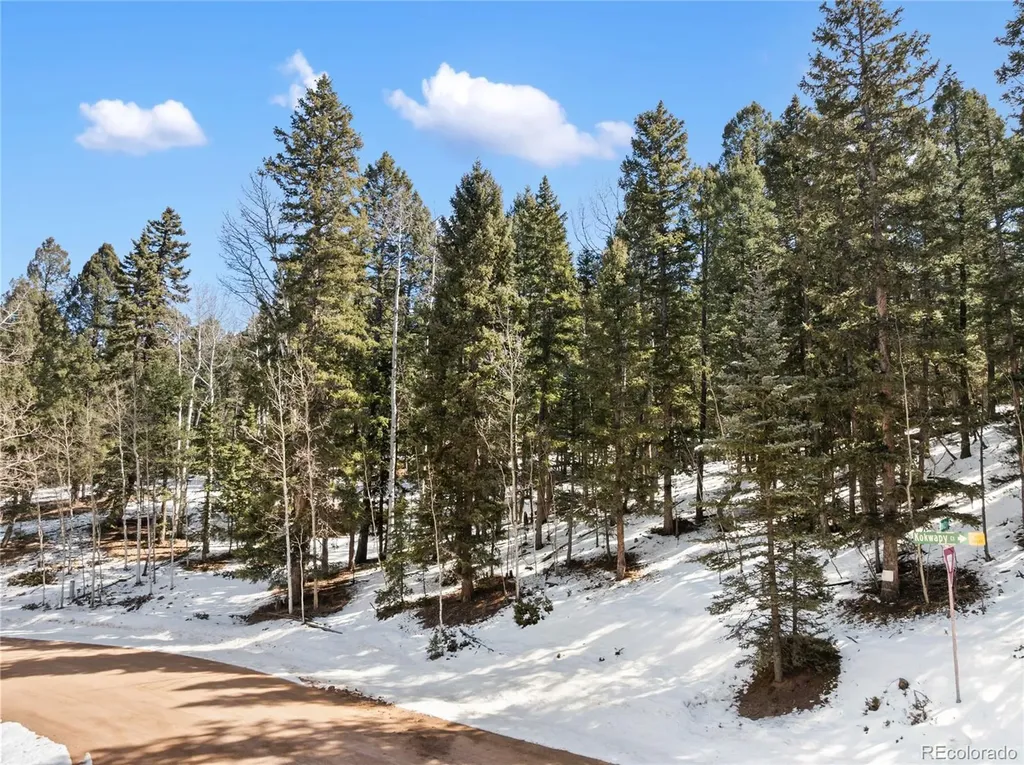 358 Pawutsy Road Florissant CO 80816