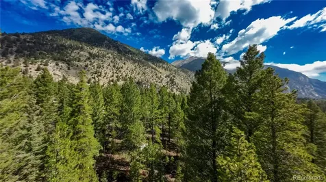22297 County Road 292d Nathrop CO 81236
