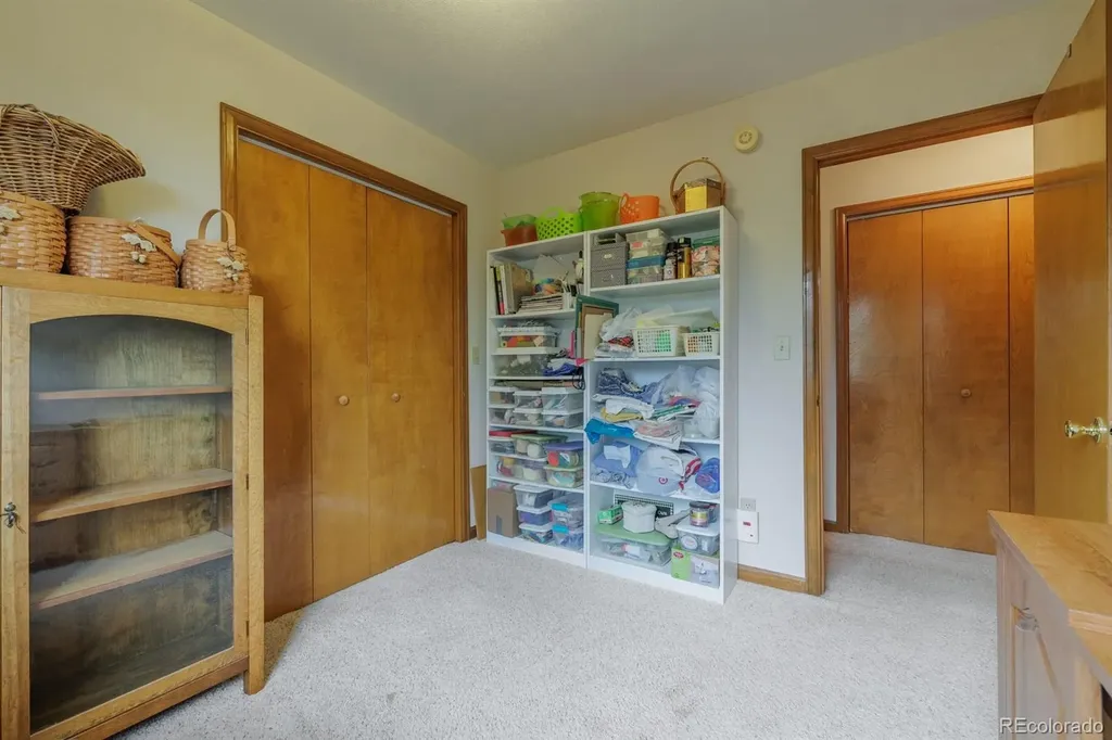 107 Glovers Lane Woodland Park CO 80863