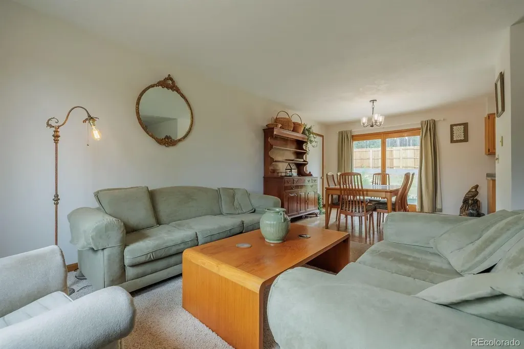 107 Glovers Lane Woodland Park CO 80863