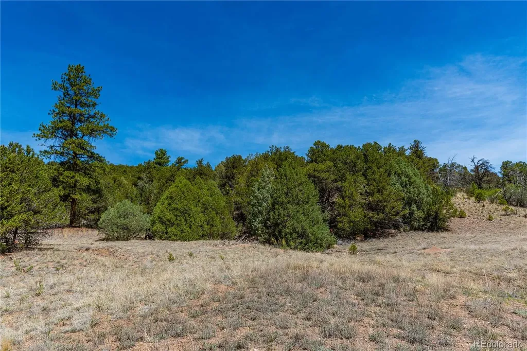 Tbd L Arnold Drive Cotopaxi CO 81223