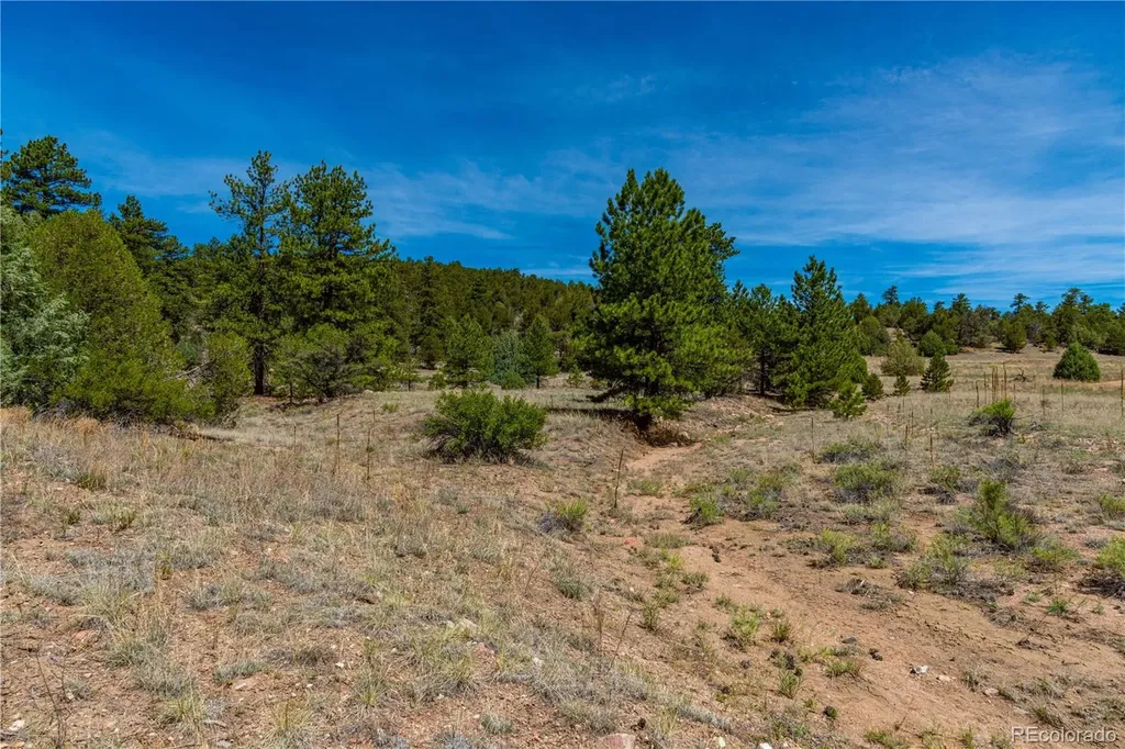 Tbd L Arnold Drive Cotopaxi CO 81223